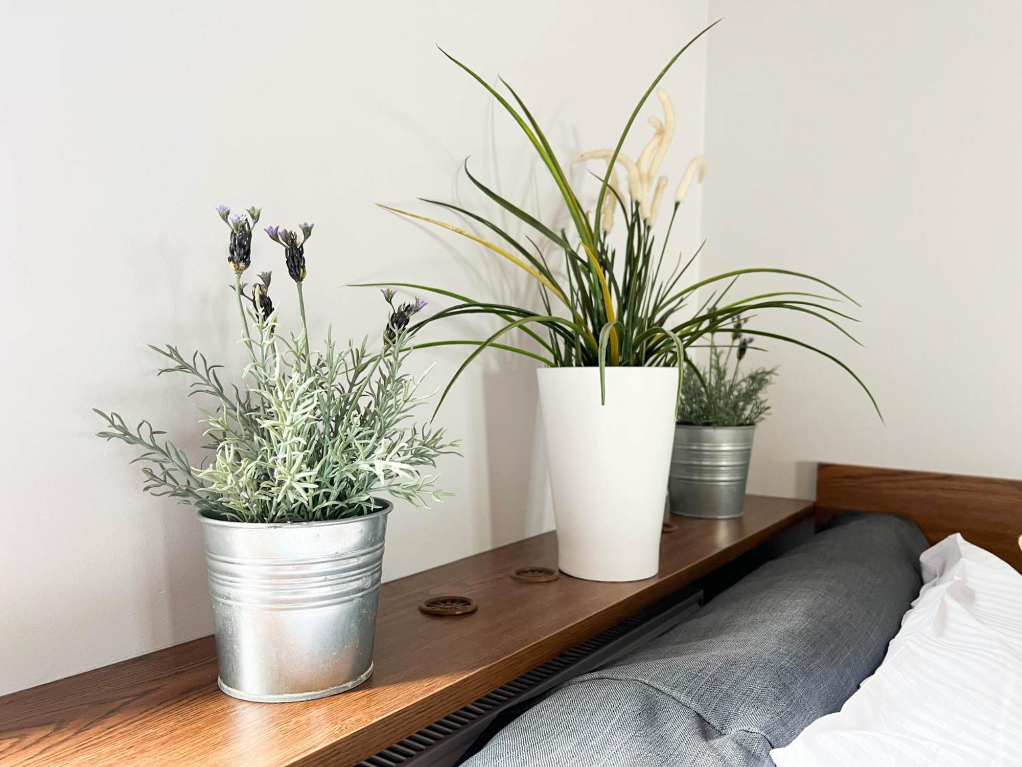 3D Szlak 77 Apartament Krasków Eksteriør bilde